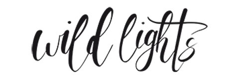 Wildlights Photography